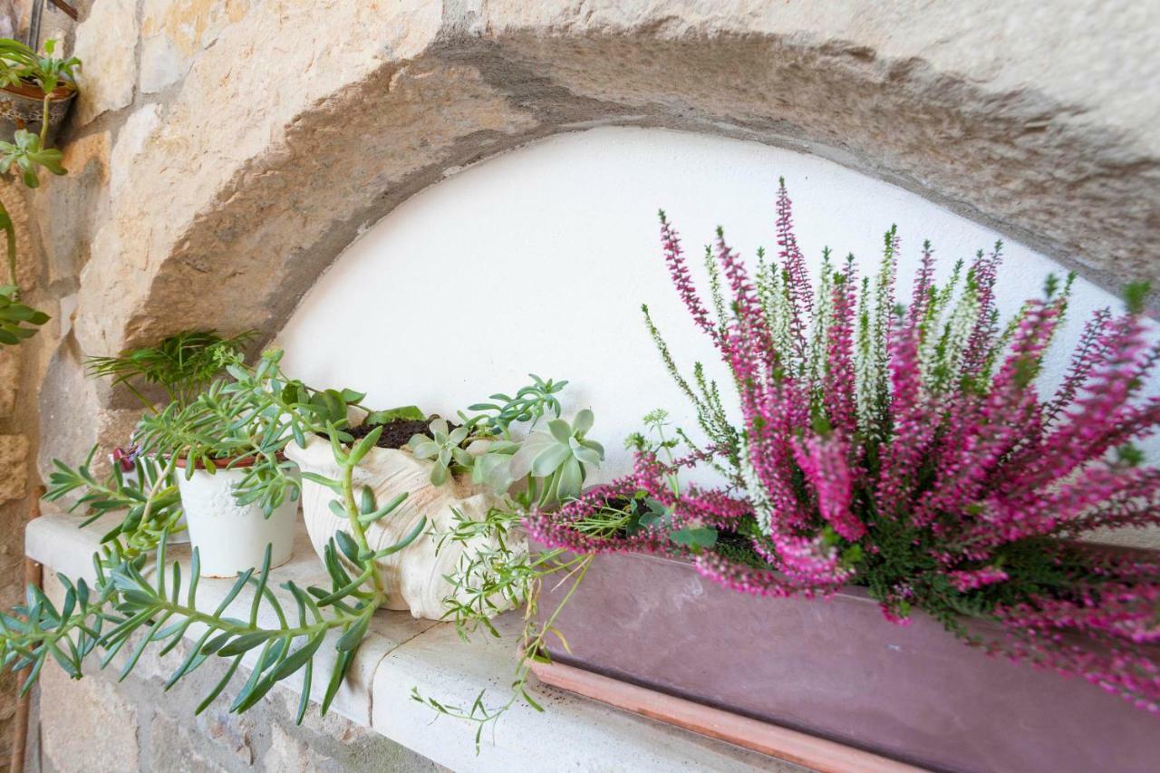 Holiday Home Lavanda Grubisic Tučepi Kültér fotó