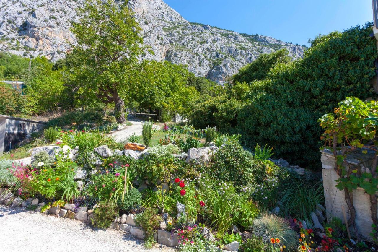 Holiday Home Lavanda Grubisic Tučepi Kültér fotó